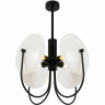Люстра потолочная FREYA ELLIPSE FR5320PL-04B