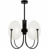 Люстра потолочная FREYA ELLIPSE FR5320PL-04B