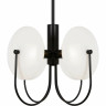 Люстра потолочная FREYA ELLIPSE FR5320PL-04B