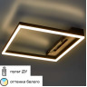 Люстра потолочная светодиодная FREYA STRENNO FR6084CL-L82B