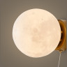Настенный светильник FREYA COSMIC FR5457WL-01G