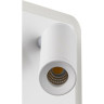 Настенный светильник светодиодный FREYA SUITE FR5345WL-L3W