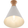 Настенный светильник FREYA RISE FR5169WL-01W