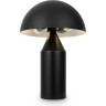 Настольный светильник FREYA ELEON FR5218TL-02B1