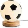 Настольный светильник FREYA GOAL FR5460TL-01W