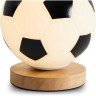 Настольный светильник FREYA GOAL FR5460TL-01W
