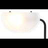 Настольный светильник FREYA MALLOW FR5228TL-01B