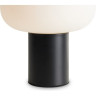 Настольный светильник FREYA TAKE FR6175TL-L10B