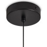 Подвесной светильник FREYA ACOUSTIC FR5494PL-01TR