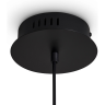 Подвесной светильник FREYA BRILLIANCE FR5557PL-L14B