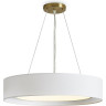 Подвесной светильник FREYA COZY FR6170PL-L52BS