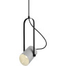 Подвесной светильник FREYA ELORI FR4004PL-01WB