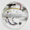 Подвесной светильник FREYA FANCY FR6059PL-L47W