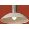 Подвесной светильник FREYA LOTUS FR5551PL-01M