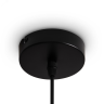 Подвесной светильник FREYA TOPI FR5503PL-01B