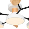 Потолочный светильник FREY CROWN FR6119CL-L60W