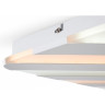 Потолочный светильник FREYA AMELIA FR6037CL-L84W