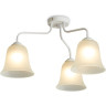 Потолочный светильник FREYA BELLS FR5448CL-03W