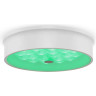 Потолочный светильник FREYA CELLS FR10011CL-L24W