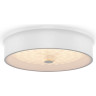Потолочный светильник FREYA CELLS FR10011CL-L24W