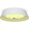 Потолочный светильник FREYA CELLS FR10013CL-L24W