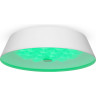 Потолочный светильник FREYA CELLS FR10013CL-L24W