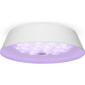 Потолочный светильник FREYA CELLS FR10013CL-L24W