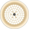 Потолочный светильник FREYA CELLS FR10013CL-L24W