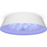 Потолочный светильник FREYA CELLS FR10013CL-L24W