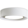 Потолочный светильник FREYA COZY FR6170CL-L52BS