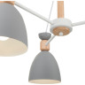 Потолочный светильник FREYA DELIA FR5033CL-05W