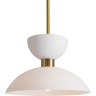 Потолочный светильник FREYA ESSENCE FR5490CL-01BS