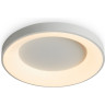 Потолочный светильник FREYA FIT FR6157CL-L65W