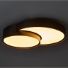 Потолочный светильник FREYA ITEMS FR6094CL-L72B