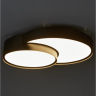 Потолочный светильник FREYA ITEMS FR6094CL-L72B