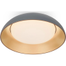 Потолочный светильник FREYA MOONLIGHT FR5277CL-L72GR