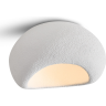 Потолочный светильник FREYA MOUND FR5428CL-01W