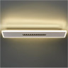 Потолочный светильник FREYA SHINE FR6105CL-L40W