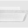 Потолочный светильник FREYA SHINE FR6105CL-L40W