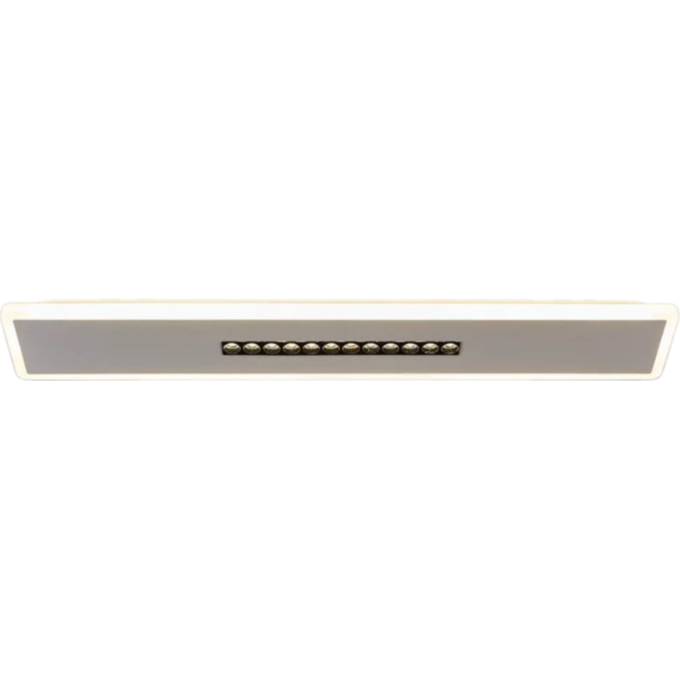 Потолочный светильник FREYA SHINE FR6105CL-L40W