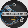 Потолочный светильник FREYA TIBO FR6048CL-L10GB