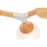 Потолочный светильник FREYA AMY FR5105CL-08W