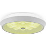 Потолочный светильник FREYA CELLS FR10012CL-L24W