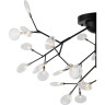 Потолочный светильник FREYA FLORENCIA FR5049CL-36B