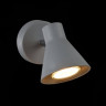 Спот FREYA CLARIS-1 FR4308-WL-01-GR