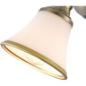 Спот FREYA JASINTA FR2272-WL-01-BS