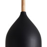 Светильник подвесной FREYA ENFACEFR5466PL-01B