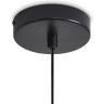 Светильник подвесной FREYA PLUMO FR5459PL-01SM